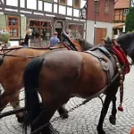 Art - Harz * Stolberg (Harz)