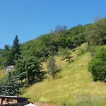 Apartamento Art - Harz *