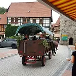 Apartament Art - Harz