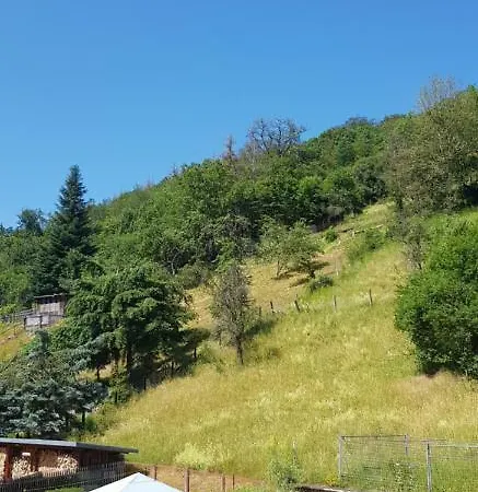 Apartament Art - Harz *