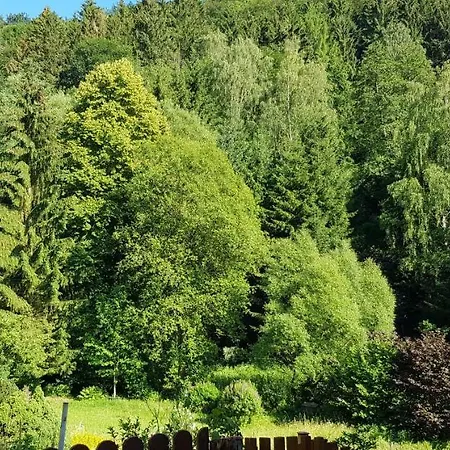 Apartament Art - Harz