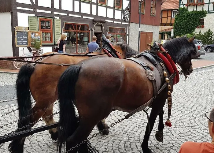 Art - Harz * Stolberg i. Harz