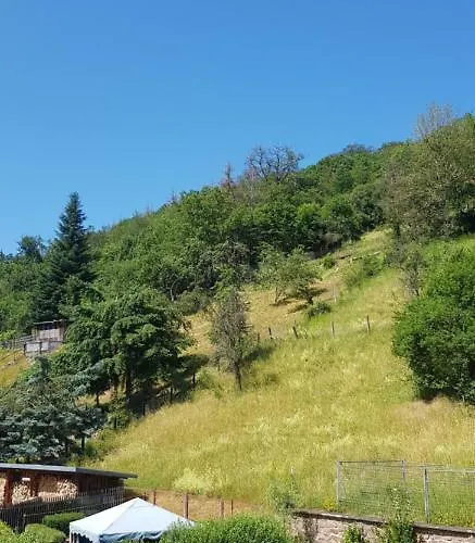 Διαμέρισμα Art - Harz *