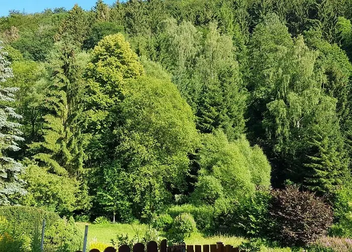 Lägenhet Art - Harz